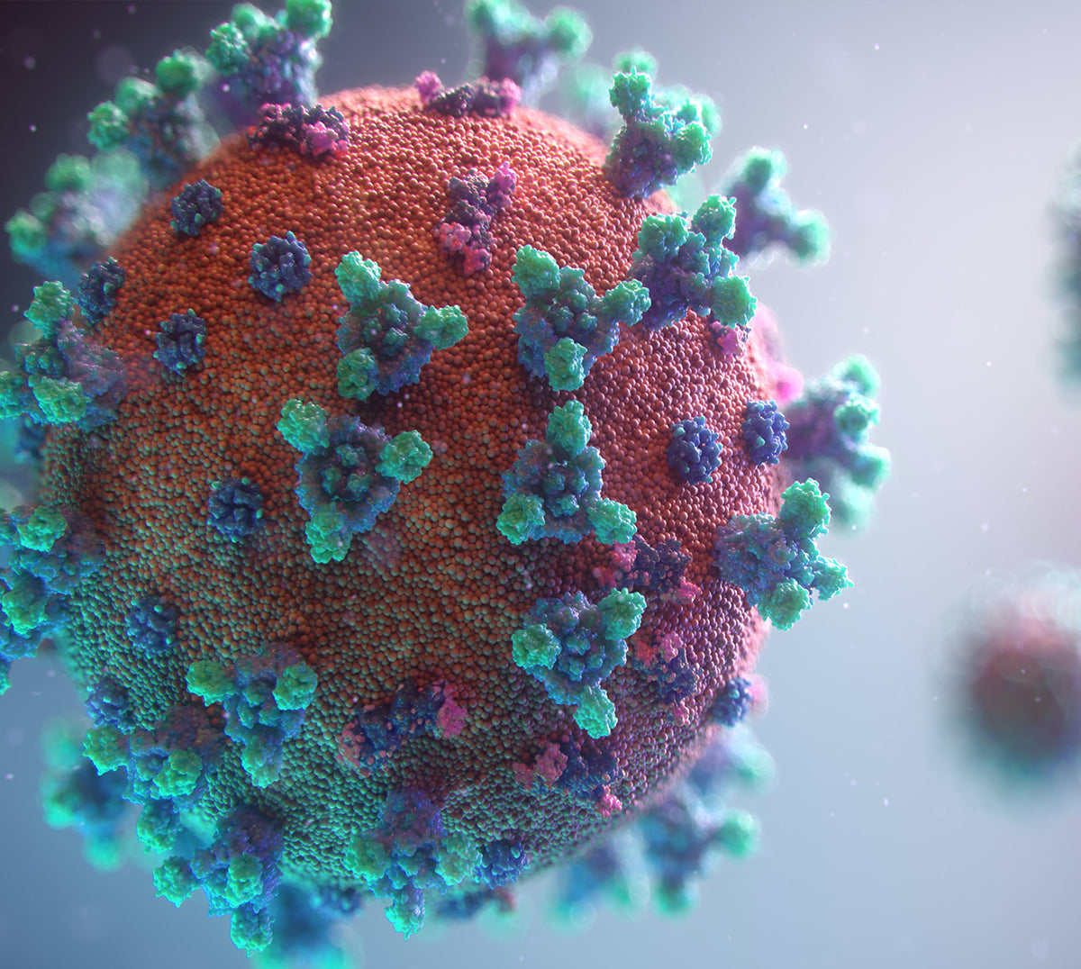 iHealth Statement on the COVID19 Omicron Variant and Its AtHome Test